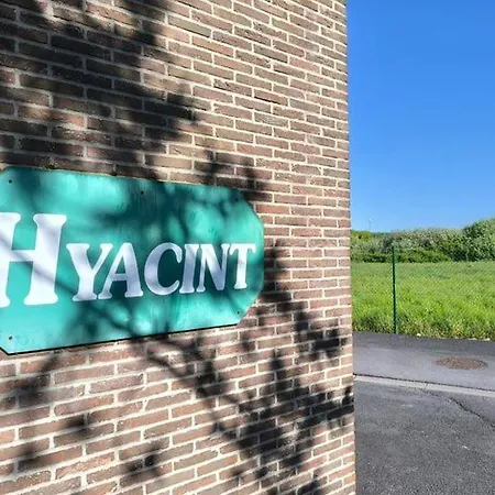 Rustig In Groene Omgeving Nabij Zee, Met Terras - Park Atlantis